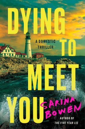 Dying to Meet You by Sarina Bowen Free Download