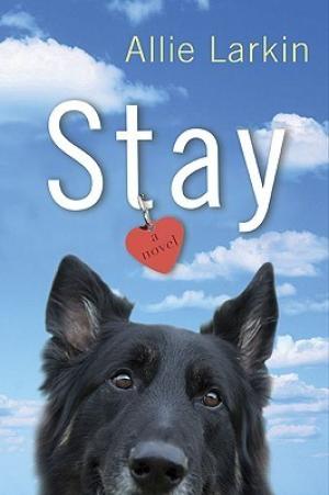 Stay by Allie Larkin Free Download