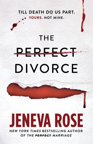 The Perfect Divorce (Perfect #2) Free Download
